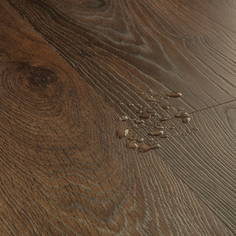 Quick-Step Classic – Pindabruine Eik (CLM5800)